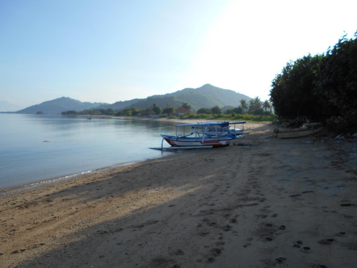 Silver Fern Beach Retreat Sekotong Ngoại thất bức ảnh